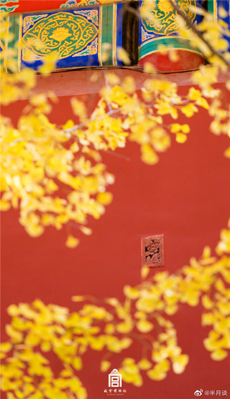 十一月做壁纸的绝美故宫空间皮肤 好看的故宫银杏美哭了